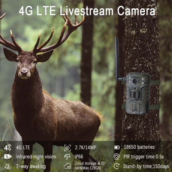 Wildkamera 4G LTE Sim-Karten Slot + Akku + IP66 wasserdicht Wald Weiden Kamera APP Live-Stream Bewegungsmelder Nachtsicht